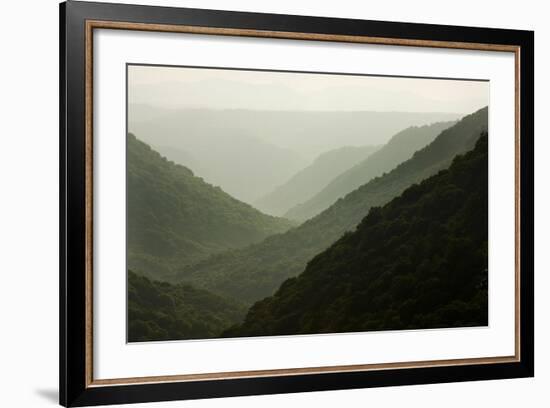 Allegheny Mountains in Babcock State Park-Paul Souders-Framed Photographic Print