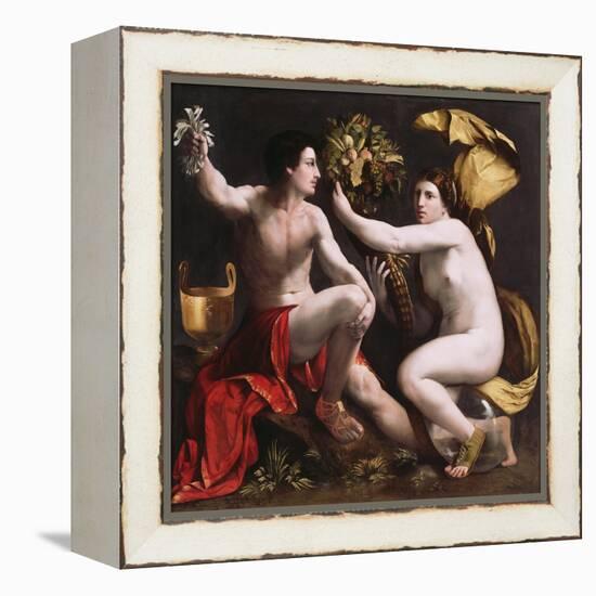 Allegory of Fortune, c.1530-Dosso Dossi-Framed Premier Image Canvas