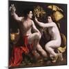 Allegory of Fortune, c.1530-Dosso Dossi-Mounted Giclee Print