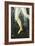 Allegory of Spring-Sandro Botticelli-Framed Giclee Print