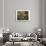 Allegory of Vanities of the World-Pieter Boel-Premium Giclee Print displayed on a wall