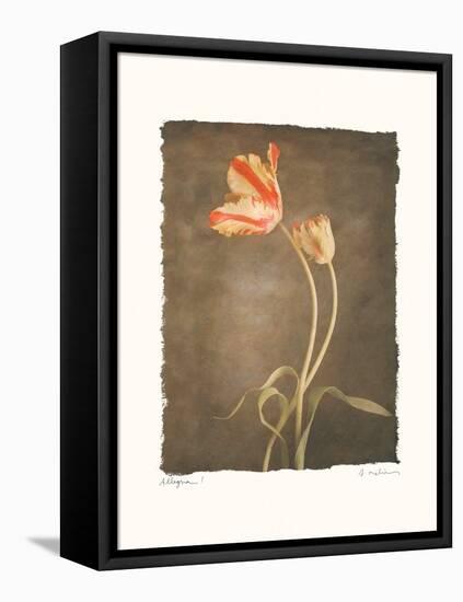 Allegria I-Amy Melious-Framed Stretched Canvas