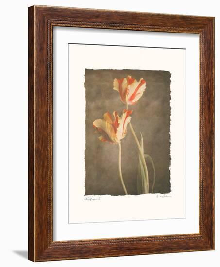 Allegria II-Amy Melious-Framed Art Print