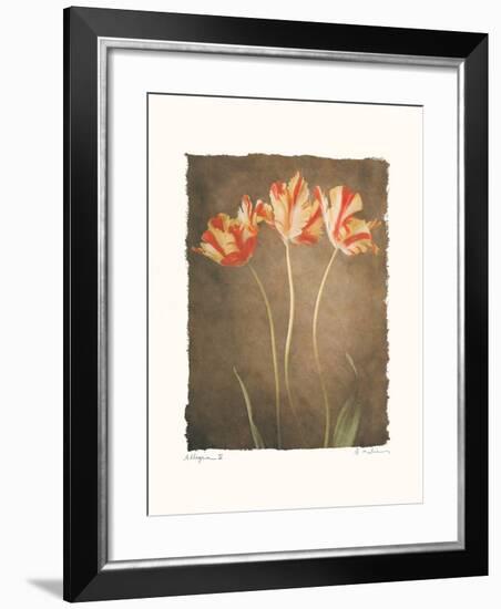 Allegria IV-Amy Melious-Framed Art Print