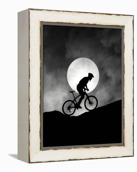 Allegro-Hengki Lee-Framed Premier Image Canvas