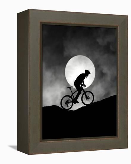 Allegro-Hengki Lee-Framed Premier Image Canvas