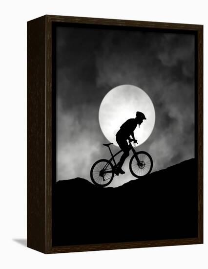 Allegro-Hengki Lee-Framed Premier Image Canvas