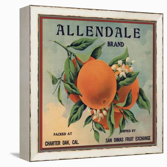 Allendale Brand - Charter Oak, California - Citrus Crate Label-Lantern Press-Framed Stretched Canvas