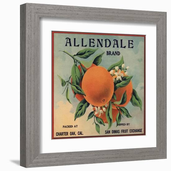 Allendale Brand - Charter Oak, California - Citrus Crate Label-Lantern Press-Framed Art Print