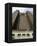 Allerton Crowne Plaza Hotel, Chicago, Illinois, USA-R H Productions-Framed Premier Image Canvas