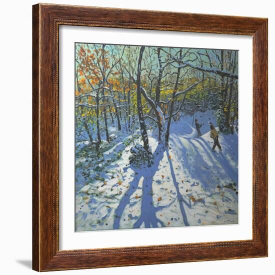 Allestree Park Woods November, 2010-Andrew Macara-Framed Giclee Print