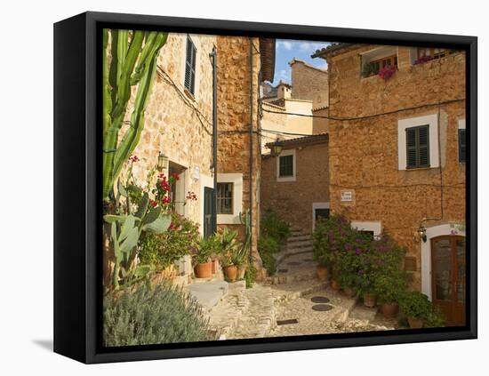 Alley in Fornalutx, Majorca, Balearics, Spain-Katja Kreder-Framed Premier Image Canvas