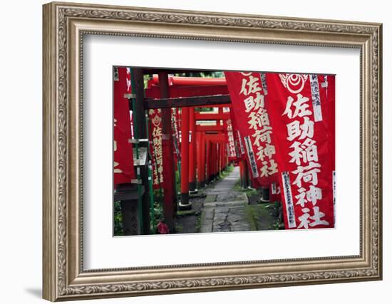 Alley in the Kamakura hills, Honshu, Japan, Asia-David Pickford-Framed Photographic Print