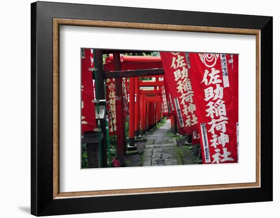 Alley in the Kamakura hills, Honshu, Japan, Asia-David Pickford-Framed Photographic Print