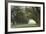 Alley of the Oaks-William Guion-Framed Giclee Print