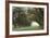 Alley of the Oaks-William Guion-Framed Giclee Print