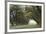 Alley of the Oaks-William Guion-Framed Art Print