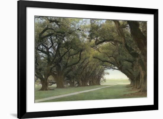 Alley of the Oaks-William Guion-Framed Art Print