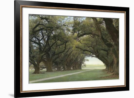 Alley of the Oaks-William Guion-Framed Art Print