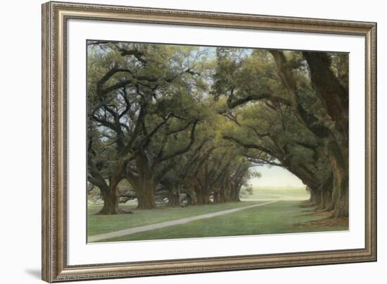 Alley of the Oaks-William Guion-Framed Art Print