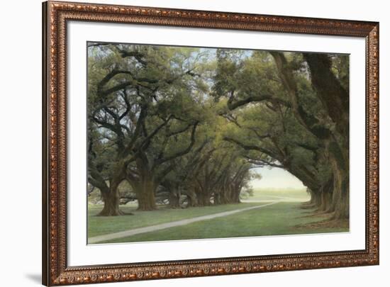 Alley of the Oaks-William Guion-Framed Art Print