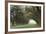 Alley of the Oaks-William Guion-Framed Art Print