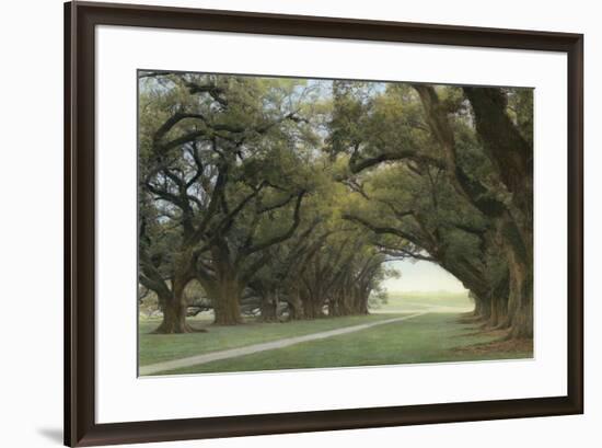 Alley of the Oaks-William Guion-Framed Art Print