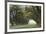 Alley of the Oaks-William Guion-Framed Art Print