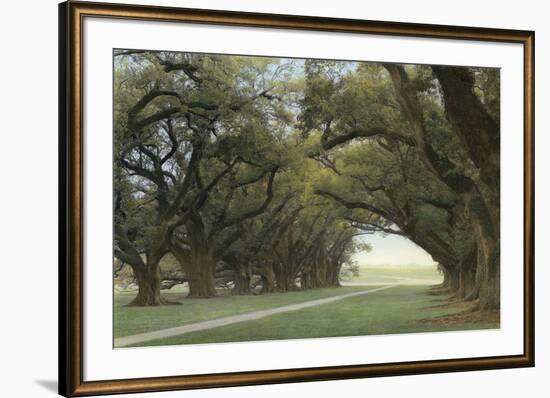 Alley of the Oaks-William Guion-Framed Art Print