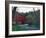 Alley Spring Mill near Eminence, Missouri, USA-Gayle Harper-Framed Photographic Print