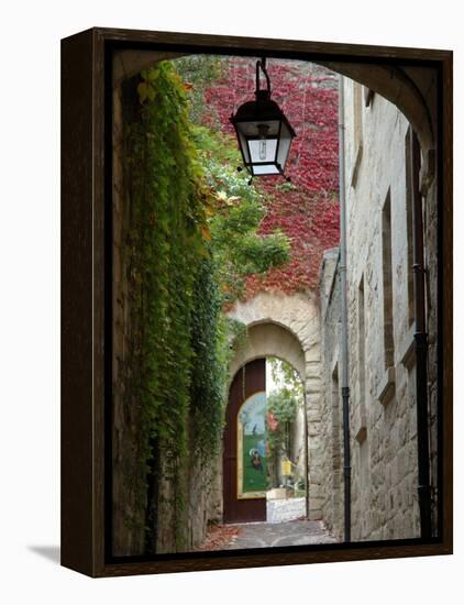 Alley to Garden, Languedoc-Roussillon, France-Lisa S. Engelbrecht-Framed Premier Image Canvas