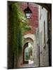 Alley to Garden, Languedoc-Roussillon, France-Lisa S. Engelbrecht-Mounted Photographic Print