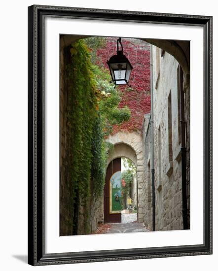 Alley to Garden, Languedoc-Roussillon, France-Lisa S. Engelbrecht-Framed Photographic Print