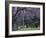 Alley with jacaranda trees in park Plaza Intendente Seeber. Buenos Aires, capital of Argentina.-Martin Zwick-Framed Photographic Print