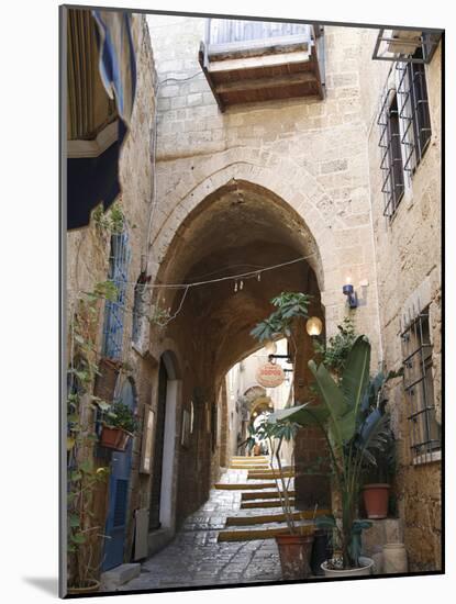 Alleys in the Old Jaffa, Tel Aviv, Israel, Middle East-Yadid Levy-Mounted Photographic Print