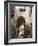 Alleys in the Old Jaffa, Tel Aviv, Israel, Middle East-Yadid Levy-Framed Photographic Print