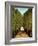 Alleyway in the Park of Saint-Cloud, 1908-Henri Rousseau-Framed Giclee Print