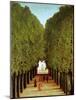 Alleyway in the Park of Saint-Cloud, 1908-Henri Rousseau-Mounted Giclee Print