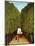 Alleyway in the Park of Saint-Cloud, 1908-Henri Rousseau-Mounted Giclee Print