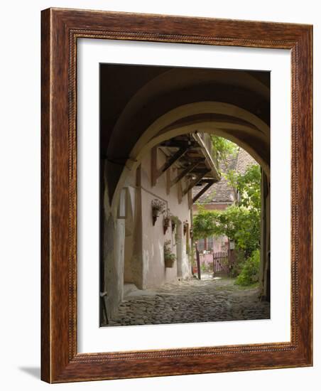 Alleyway, Sighisoara, Transylvania, Romania, Europe-Gary Cook-Framed Photographic Print