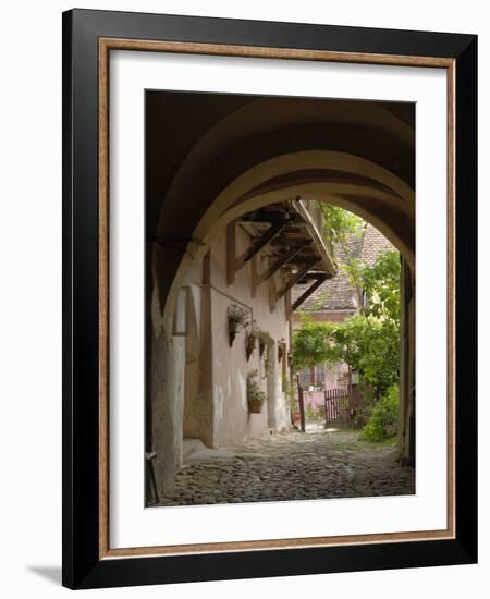 Alleyway, Sighisoara, Transylvania, Romania, Europe-Gary Cook-Framed Photographic Print