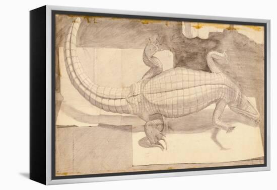 Alligator, 1948-Evelyn Williams-Framed Premier Image Canvas