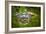 Alligator 2-Dennis Goodman-Framed Photographic Print