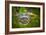 Alligator 2-Dennis Goodman-Framed Photographic Print