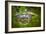 Alligator 2-Dennis Goodman-Framed Photographic Print