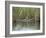 Alligator, Anhinga Trail, Everglades National Park, Florida, USA-Fraser Hall-Framed Photographic Print