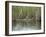 Alligator, Anhinga Trail, Everglades National Park, Florida, USA-Fraser Hall-Framed Photographic Print