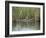 Alligator, Anhinga Trail, Everglades National Park, Florida, USA-Fraser Hall-Framed Photographic Print