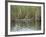 Alligator, Anhinga Trail, Everglades National Park, Florida, USA-Fraser Hall-Framed Photographic Print