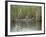 Alligator, Anhinga Trail, Everglades National Park, Florida, USA-Fraser Hall-Framed Photographic Print